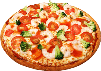 پیتزا سبزیجات و گوشت اردک